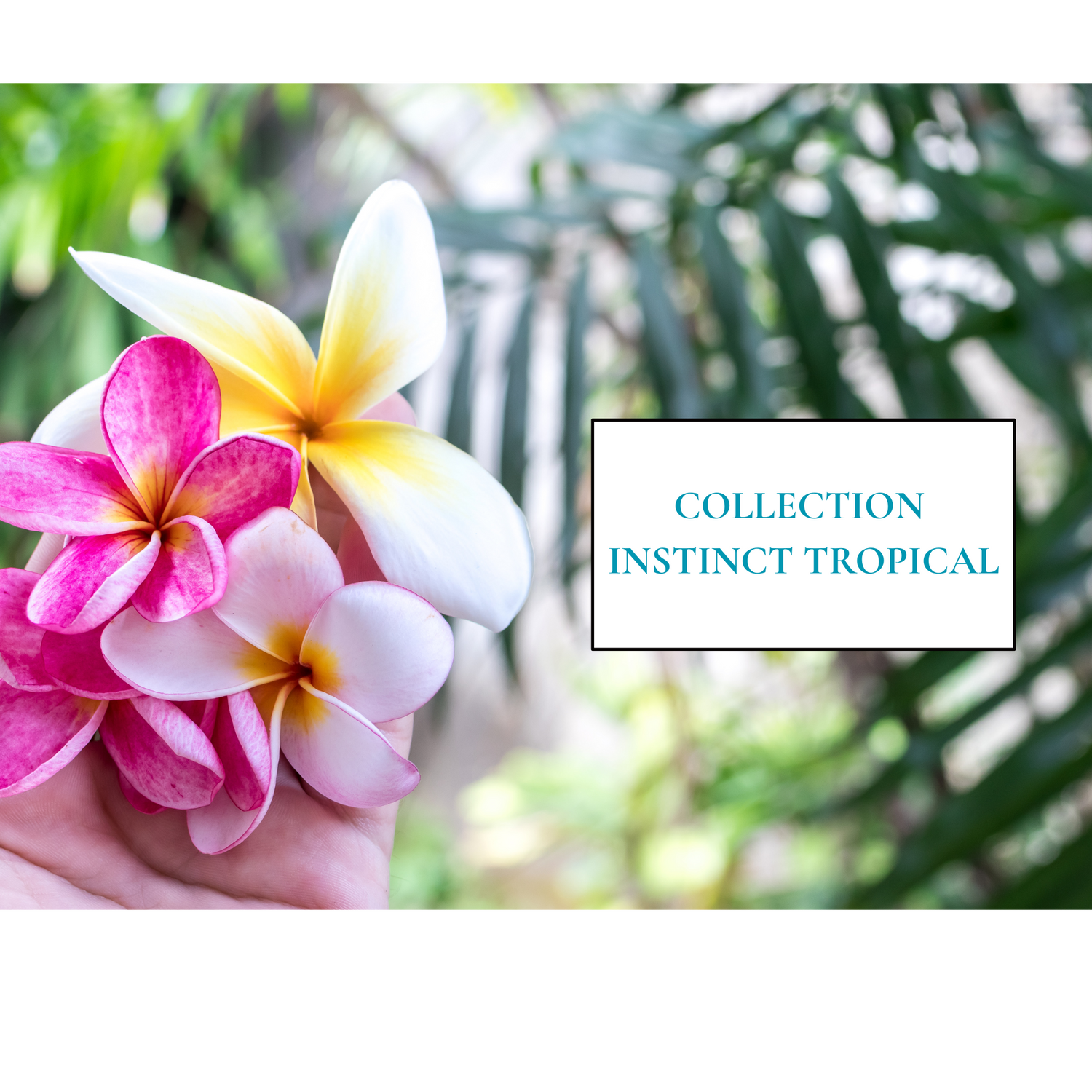 Collection Instinct Tropical