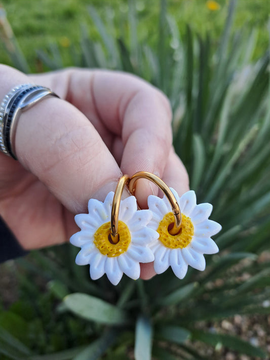 Pampilles Marguerite – Blanc & Jaune