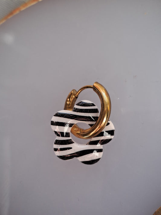 Pampilles Flora - Zèbre